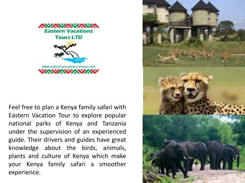 Welcome to Eastern Vacations Tours