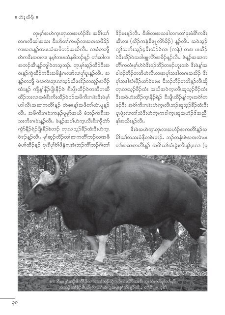 A Tribute to Saw O Moo, A Hero of the Salween Peace Park 