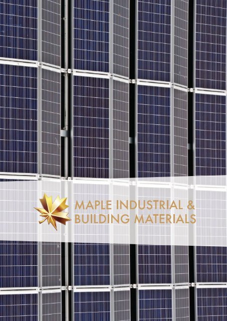 Maple Solar - 2018 (LR)