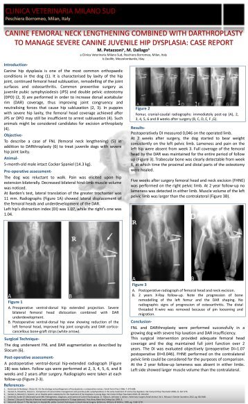 Canine Femoral Neck Lengthening Combined with Darthroplasty to Manage Severe Canine Juvenile Hip Displasia