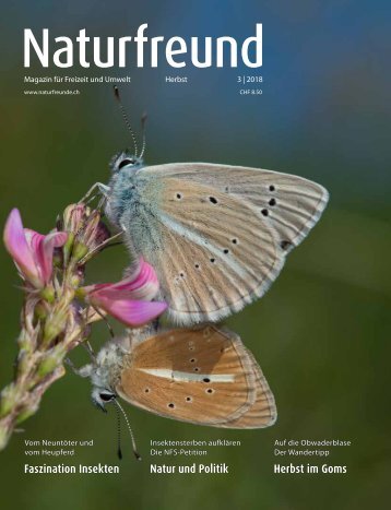Naturfreund 3 | 2018