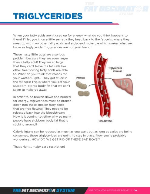 Fat Decimator System Pdf