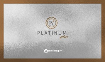 PlatinumPlus-Developers-181010 