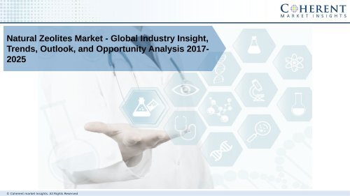 Natural Zeolites Market