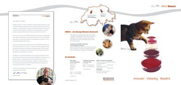 IDEXX Diavet Brochure - IDEXX Laboratories