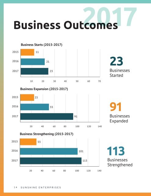 Sunshine Enterprises 2017 Annual Report