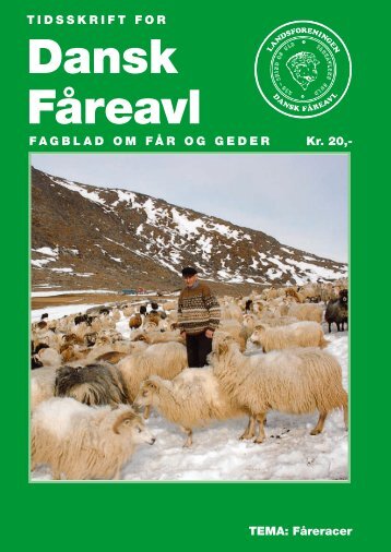 Faareracer