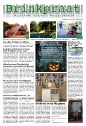 Brinkpraat oktober 2018