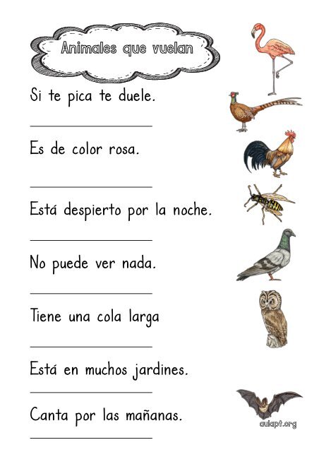 animales-que-vuelan-comprensión-lectora-frases