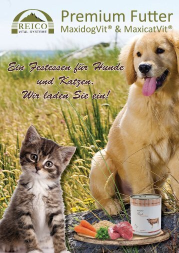 Flyer_Hund_Katze_Festessen