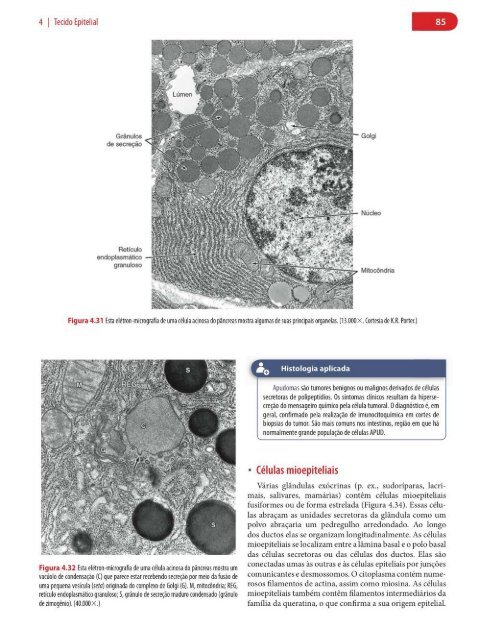 Histologia Básica, Texto e Atlas - 12ª Edição - Junqueira &amp; Carneiro