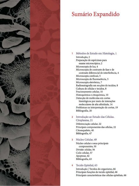 Histologia Básica, Texto e Atlas - 12ª Edição - Junqueira &amp; Carneiro