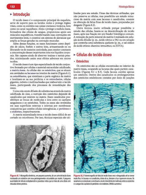 Histologia Básica, Texto e Atlas - 12ª Edição - Junqueira &amp; Carneiro