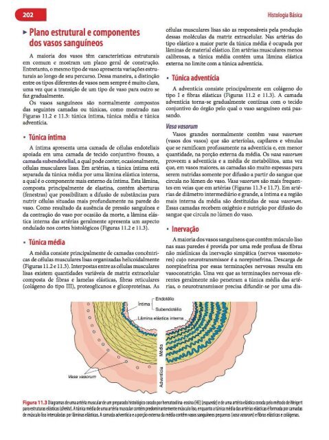 Histologia Básica, Texto e Atlas - 12ª Edição - Junqueira &amp; Carneiro