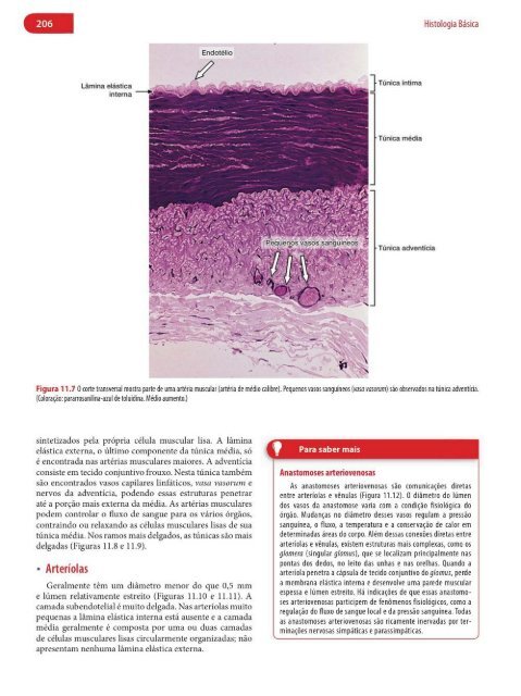 Histologia Básica, Texto e Atlas - 12ª Edição - Junqueira &amp; Carneiro