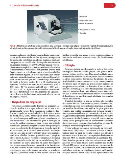 Histologia Básica, Texto e Atlas - 12ª Edição - Junqueira &amp; Carneiro