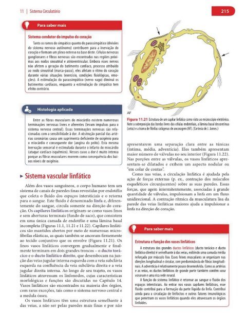 Histologia Básica, Texto e Atlas - 12ª Edição - Junqueira &amp; Carneiro