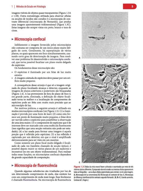 Histologia Básica, Texto e Atlas - 12ª Edição - Junqueira &amp; Carneiro