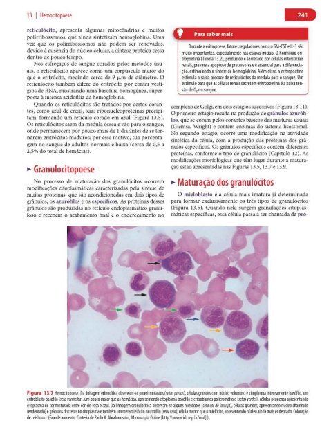 Histologia Básica, Texto e Atlas - 12ª Edição - Junqueira &amp; Carneiro