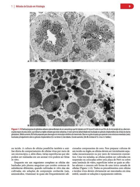 Histologia Básica, Texto e Atlas - 12ª Edição - Junqueira &amp; Carneiro