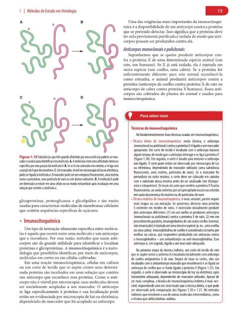 Histologia Básica, Texto e Atlas - 12ª Edição - Junqueira &amp; Carneiro