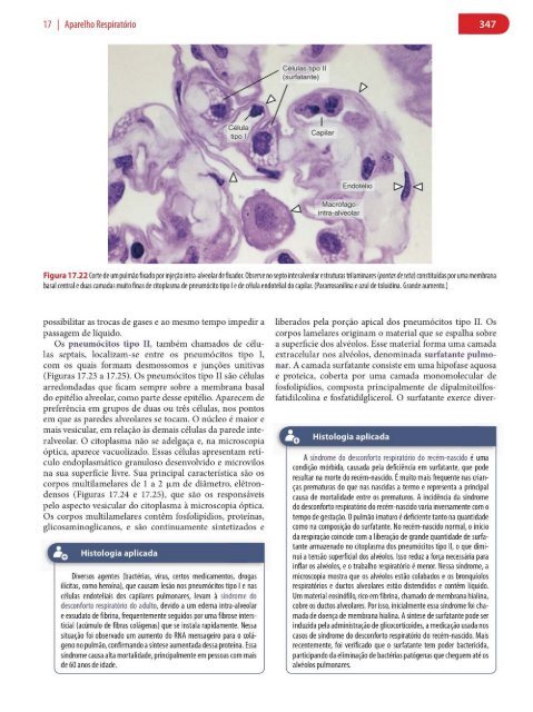 Histologia Básica, Texto e Atlas - 12ª Edição - Junqueira &amp; Carneiro