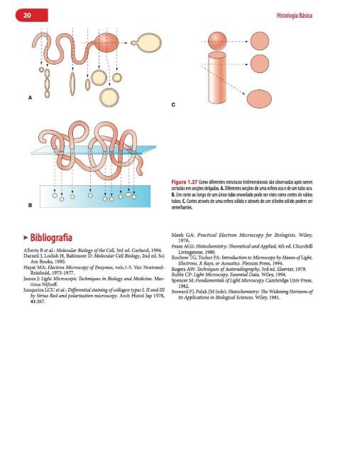 Histologia Básica, Texto e Atlas - 12ª Edição - Junqueira &amp; Carneiro