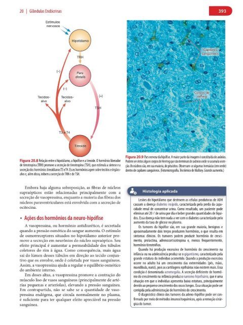 Histologia Básica, Texto e Atlas - 12ª Edição - Junqueira &amp; Carneiro