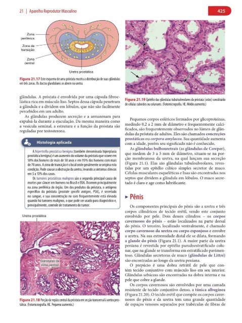 Histologia Básica, Texto e Atlas - 12ª Edição - Junqueira &amp; Carneiro