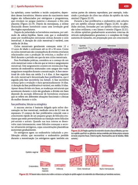 Histologia Básica, Texto e Atlas - 12ª Edição - Junqueira &amp; Carneiro