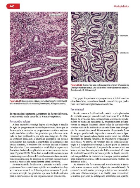 Histologia Básica, Texto e Atlas - 12ª Edição - Junqueira &amp; Carneiro