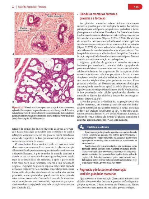 Histologia Básica, Texto e Atlas - 12ª Edição - Junqueira &amp; Carneiro