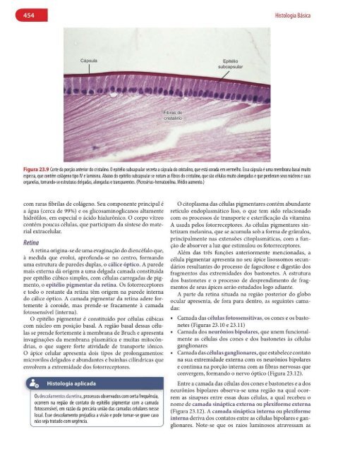 Histologia Básica, Texto e Atlas - 12ª Edição - Junqueira &amp; Carneiro