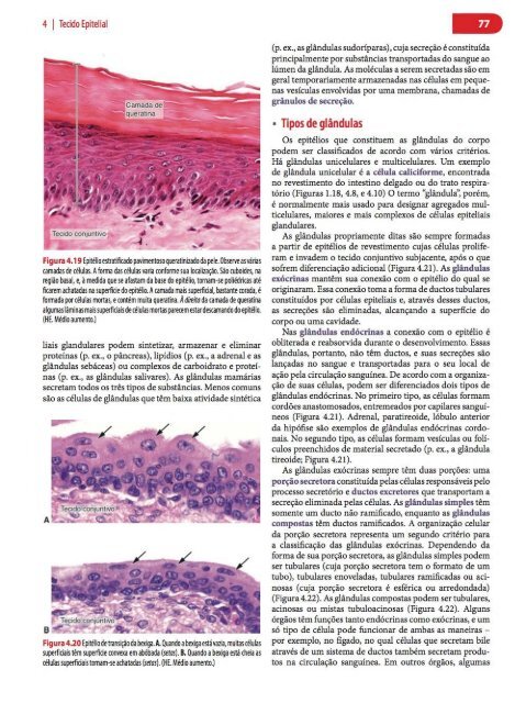 Histologia Básica, Texto e Atlas - 12ª Edição - Junqueira &amp; Carneiro