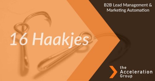 16 haakjes - B2B Lead Management en Marketing Automation
