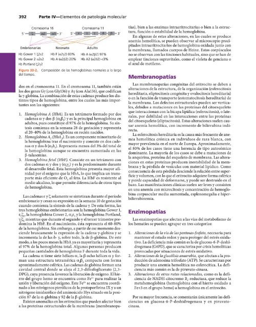 Principios de Bioquimica Clinica y Biologia Molecular - González
