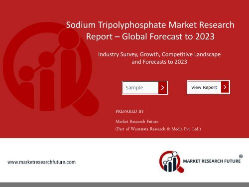Sodium Tripolyphosphate Market PDF