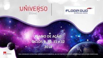 Plano de Ação Flodin - Ciclos 09 ao 12