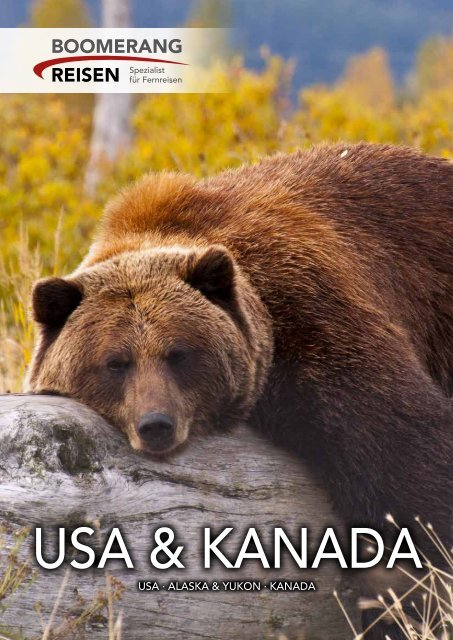 Usa Kanada 2019 20