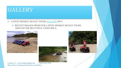 Monkey Buggy Tours