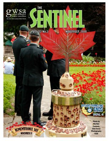 November 2018 issue small