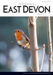 Devonshire's East Devon digital magazine November December 2018