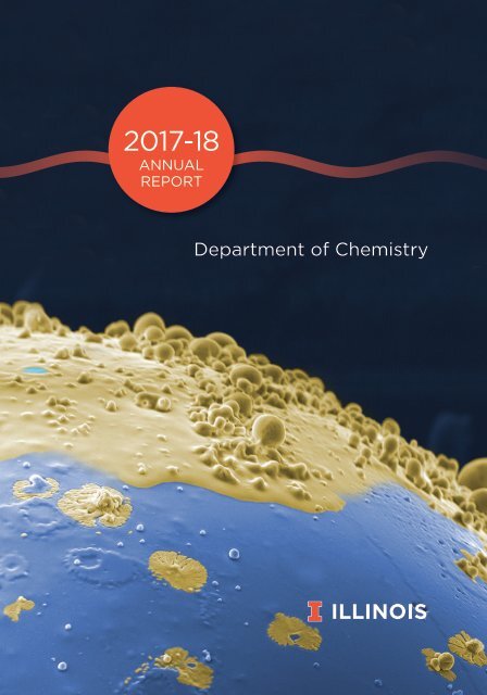Chemistry Annual Report 2017-18