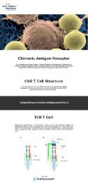 Chimeric Antigen Receptor