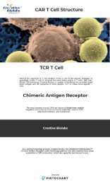 CAR T Cell Structure