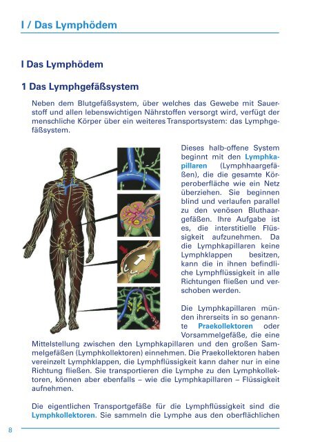 Informationsbroschuere Lymphoedem