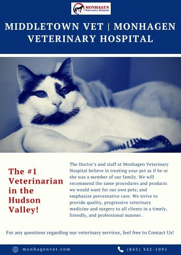 Middletown Vet | Monhagen Veterinary Hospital 