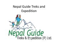 Nepal Guide Treks and Expedition
