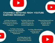 Channels Removed from YouTube Partner Program