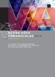 Voranschlag 2019 Bezirk Hoefe
